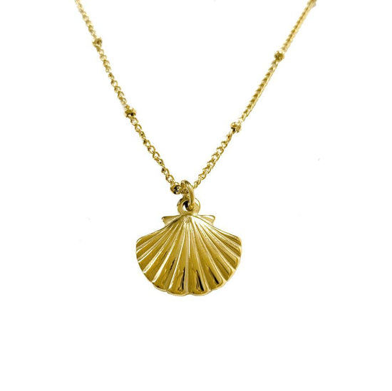 Shell Waterproof Necklace - WOODSTOCK ZAMBON